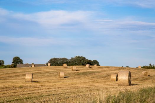 Hay bales after harvest on a field on the countryside in Northern Zealand, Denmark