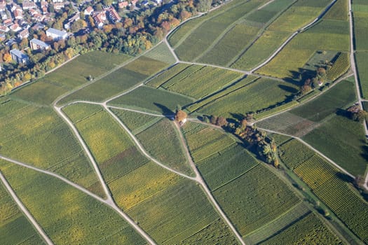 Aerial view of vineyards during autumn in Baden-Wurttemberg in Southern Germany.