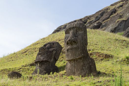 Moais at Rano Raraku stone quarry on Easter Island in Chile.