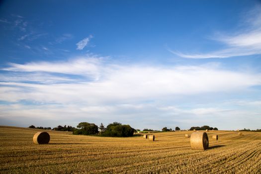 Panoramic view of hay bales on a field on the countryside in Denmark