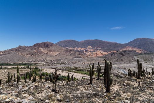 View from the pre-inca fortress Pucara de Tilcara in Northwest Argentina.