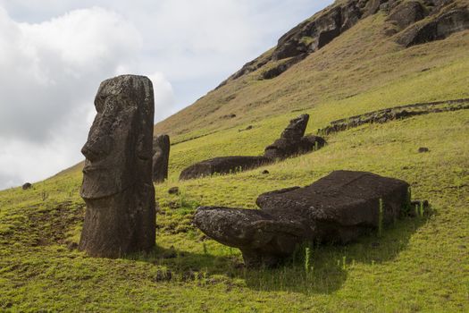 Photograph of the moais at Rano Raraku stone quarry on Easter Island in Chile.