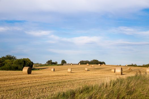 Hay bales after harvest on a field on the countryside in Northern Zealand, Denmark