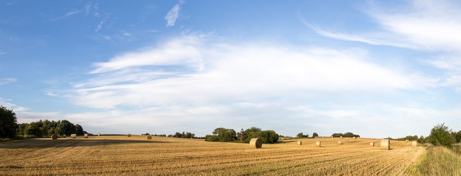 Panoramic view of hay bales on a field on the countryside in Denmark