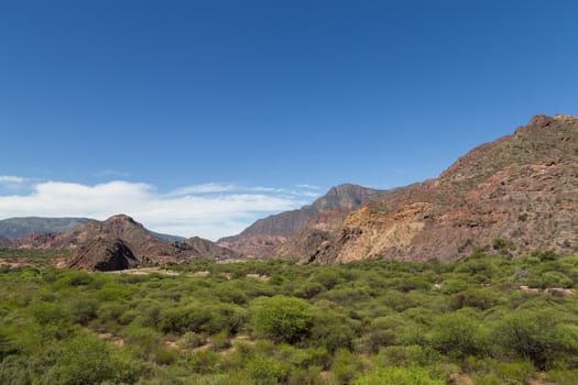 Rock formations in the Quebrada de las Conchas in Northwest Argentina.