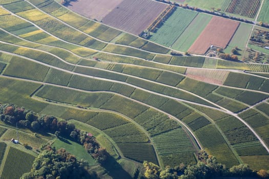 Aerial view of vineyards during autumn in Baden-Wurttemberg in Southern Germany.