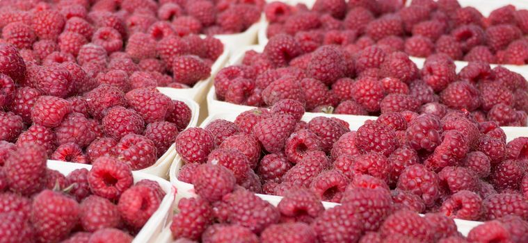 Red raspberries in containers on the market. Several servings of raspberries for sale