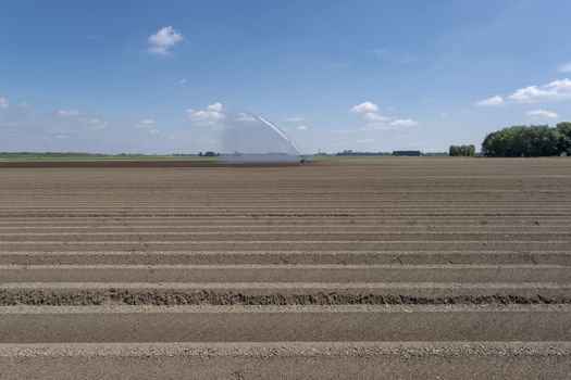 Watering system in a field. An irrigation pivot watering a field