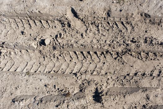 Wheel tracks in the mud, detail footprints Car