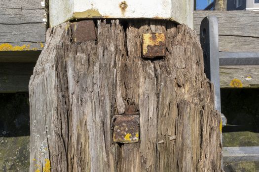 Detail of a wooden bollard from Rotterdam harbour 