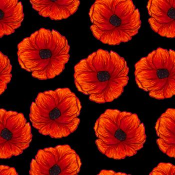 Beautiful red poppies isolated on black background. Bright Floral seamless Pattern. Summer backdrop. Can be used for textile,wallpaper,print,web design, fabric, wrapping paper. Hand drawn illustration
