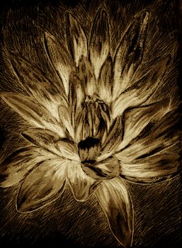 Exotic flower drawing. Hand-drawn illustration of magic lotus. Esoteric concept. Dark background, brown, sepia, beige colors.