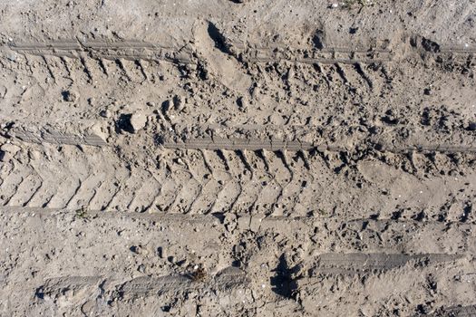 Wheel tracks in the mud, detail footprints Car