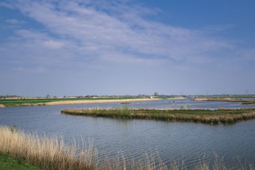 'Pancake Country': Typical flat Dutch Landscape of green Meadows, Ditches, blue Sky with white Clouds reflecting in the water