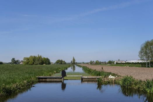 Dutch polder landscape with a water management construction early in the morning on a sunny day in the spring season