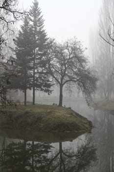 fog in park forest, natural landscape background