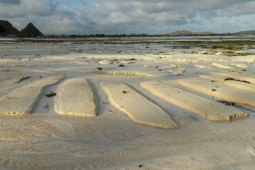 The coastal strip at low tide. A desert area with wet sand, a wavy relief runs along it. Close up. Relief of the sand beach of the tideland during low tide.