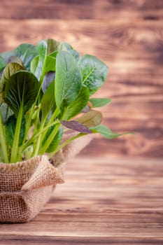 Fresh salad leaves in a wooden bowl on rustic wooden background.