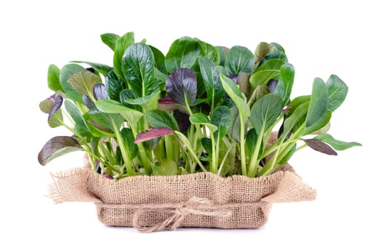 Fresh salad leaves in a wooden bowl on white background.