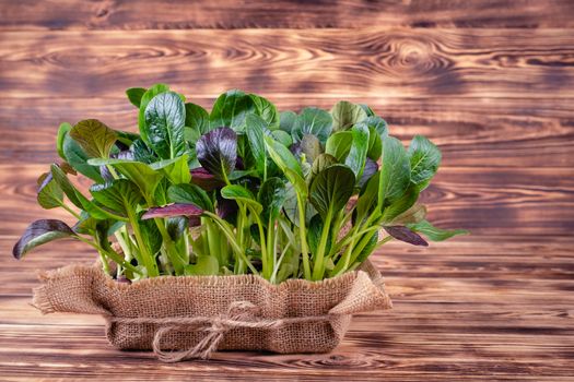 Fresh salad leaves in a wooden bowl on rustic wooden background.