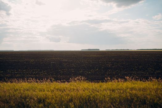 Soil of an agricultural field. Black earth and sky