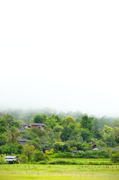 Rural villages of Thailand in the Asian zone and rice fields among the mountains and thick fog in the morning during the rainy season. The concept of people living with nature in perfect harmony.