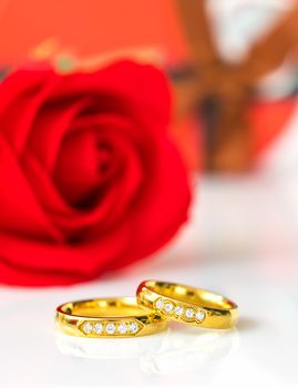 Red plastic fake roses on white background, Wedding concept with roses and gold rings