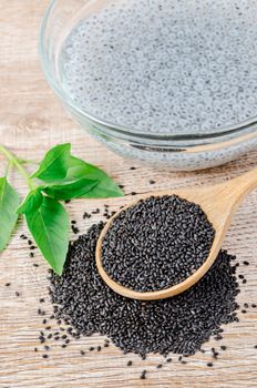 Law Hairy basil or Lemon basil seeds in wooden spoon with green leaf.