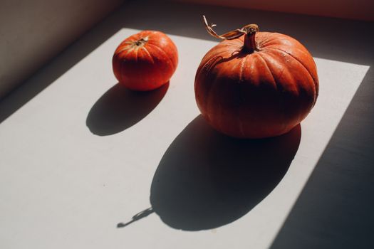 Autumn orange pumpkins overhead view with shadows.