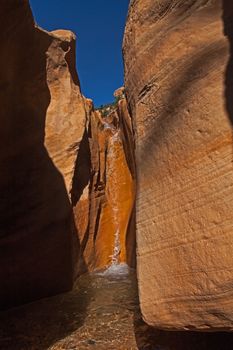 Willis Creek Slot Canyon in the Escalante Grand Staircase National Monument, Southern Utah. USA
