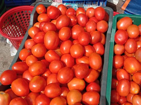 fresh tasty and healthy tomato stock on shop