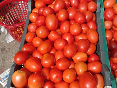 fresh tasty and healthy tomato stock on shop