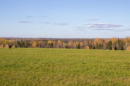 Hay bales in the field in autumn. Agricultural field with sky. The rural nature of farms. Straw in the meadow. Rural natural landscape. The grain harvest, and harvesting.