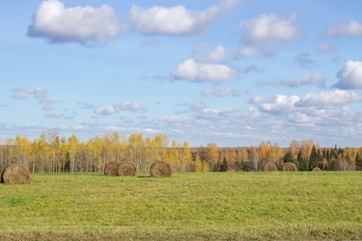 Hay bales in the field in autumn. Agricultural field with sky and clouds. The rural nature of farms. Straw in the meadow. Rural natural landscape. The grain harvest, and harvesting.