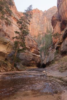 The dark entrance to the famous Subway, a famous slot canyon in the Left Fork North Creek, Zion National Park.