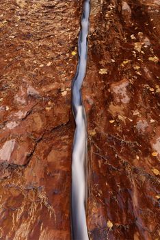 Water has cut a narrow channel in the red bedrock of the Left Fork North Creek, Zion National Park.