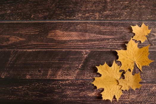 yellow autumn maple leaves lie on a brown wooden background, autumn background, September, October, November, dry autumn leaves, leaf fall, copyspace, flatlay, top view, overhead.