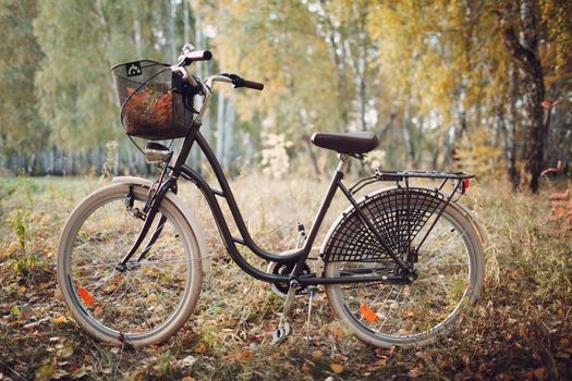 Vintage woman bicycle with basket in autumn park.
