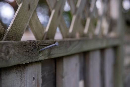 An iron nail sticks out of a piece of wood at the top of a cedar wooden fence. A shallow depth of field shows most of the fence as a background blur.