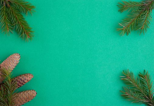 Three pine cones and green fir branches lie on a green background. The concept of the New year and Christmas.