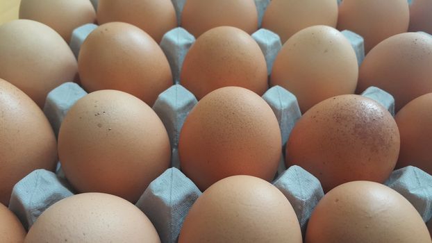 Fresh farm chicken eggs in an egg-carton or egg holder or paper tray placed in market for sale