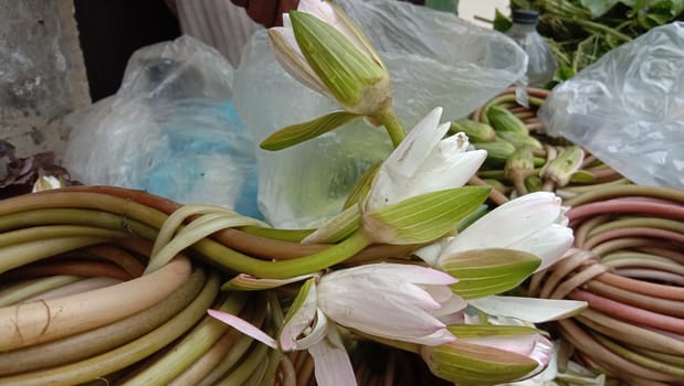 water lily flower stock on shop and in hand