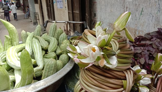 water lily flower stock on shop and in hand