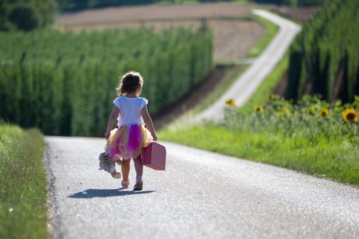 One little girl with a suitcase on a road between two fields
