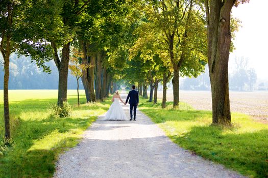 The young wedding couple at a wedding shoot