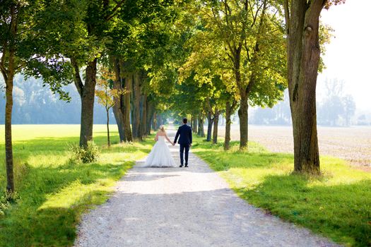 The young wedding couple at a wedding shoot