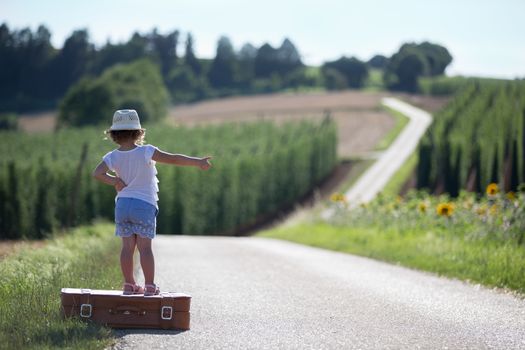 One little girl with a suitcase on a road between two fields