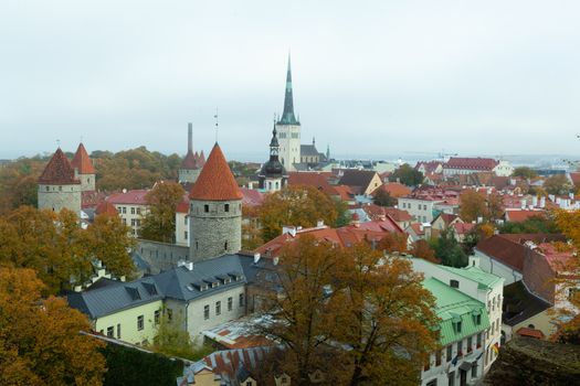 Tallinn, Estonia - October 2018: Tallinn panoramic view from Patkuli showing St Olafs