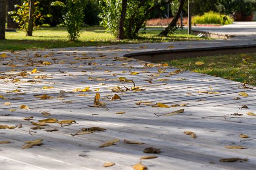 Pedestrian path made with wooden planks on the floor in a modern green city park. Selective focus.