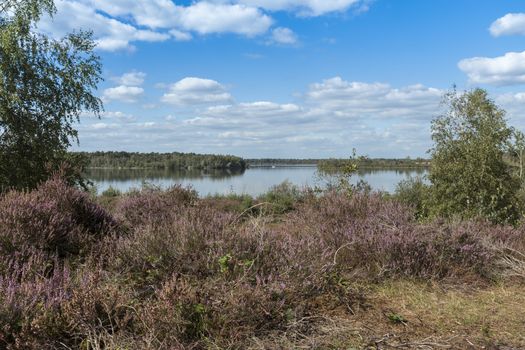 Lake Reindersmeer in De Maasduinen National Park, Limburg, Netherlands